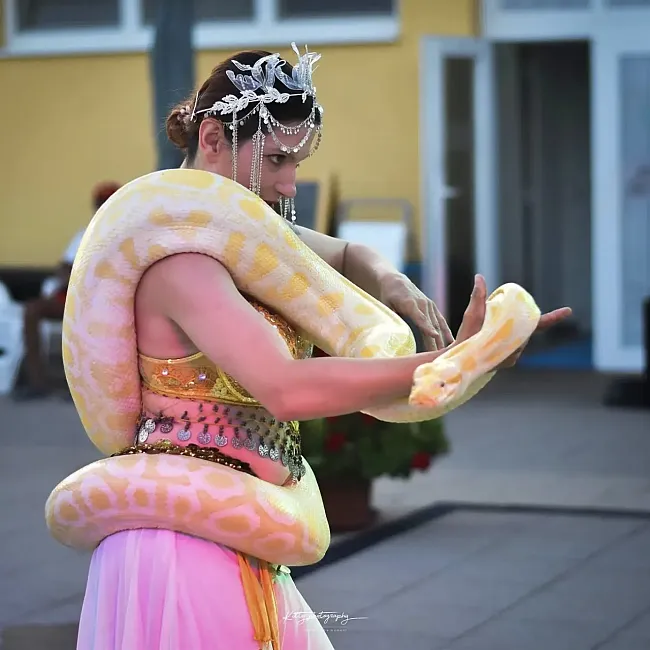 Éjjeli fürdőzés 2025.7.19